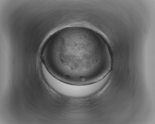 X0000110911506200906251347