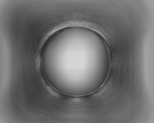 X0000110911507200906251347