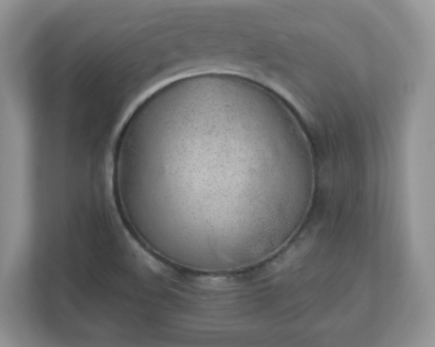 X0000110911508200906251347