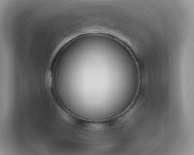 X0000110911509200906251347