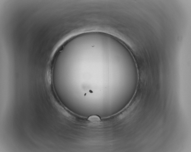 X0000110911510200906251347