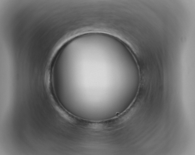 X0000110911511200906251347