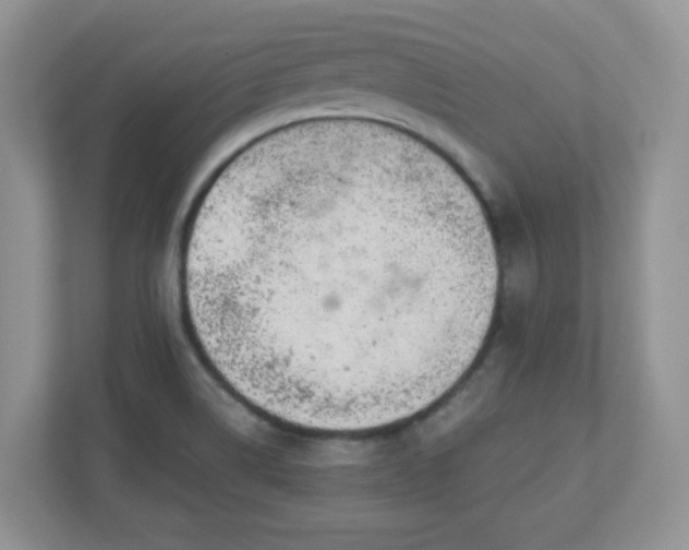 X0000110911514200906251347