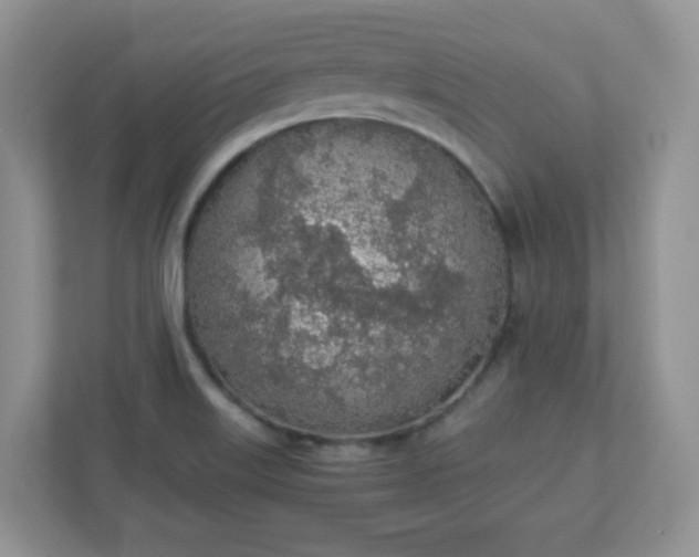 X0000110911515200906251347