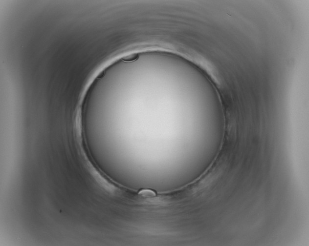 X0000110911516200906251347