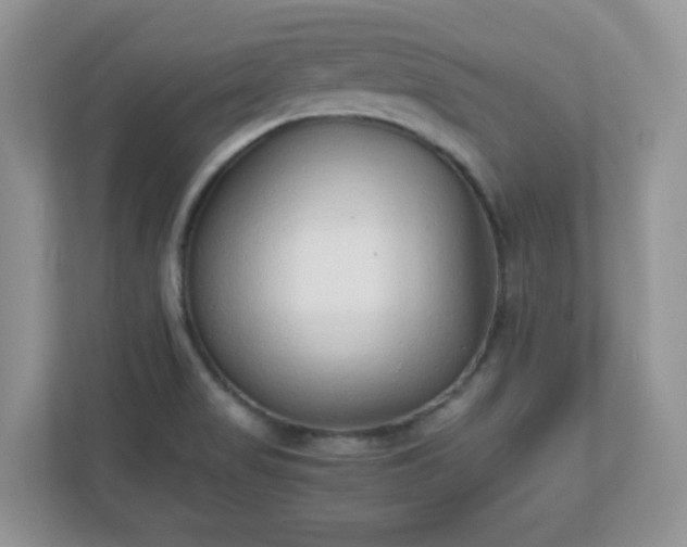 X0000110911517200906251347