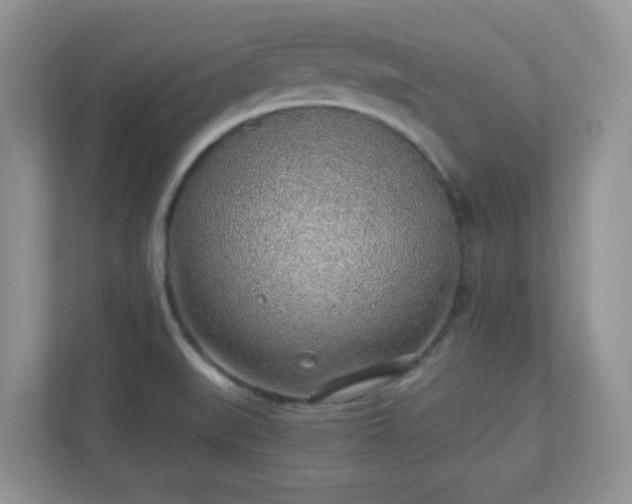 X0000110911519200906251347