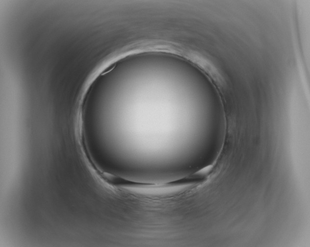 X0000110911520200906251347