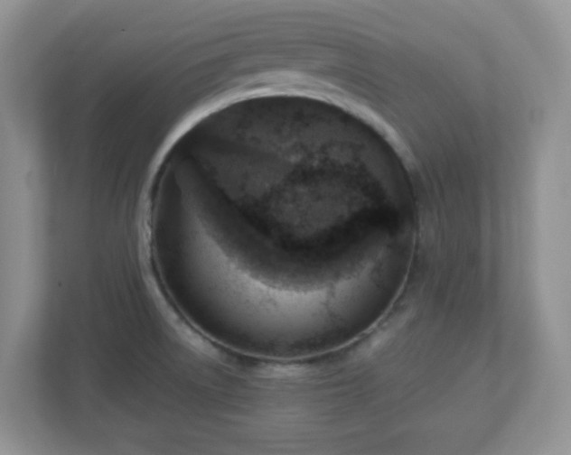 X0000110911522200906251347