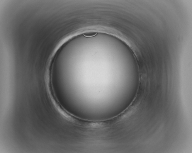 X0000110911523200906251347