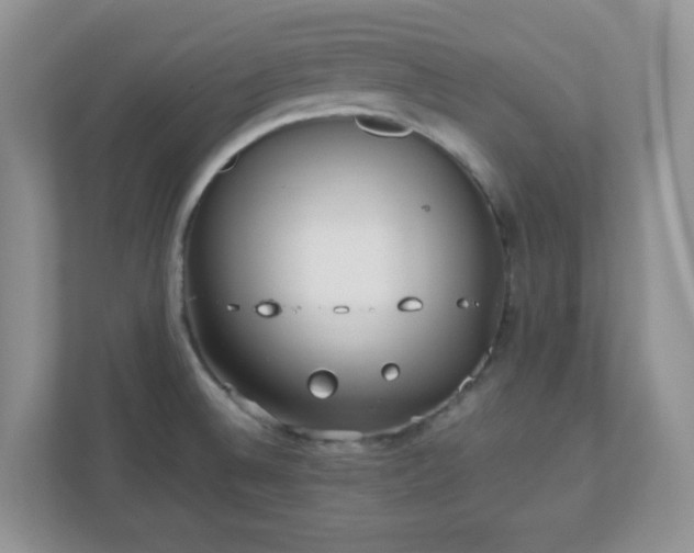 X0000110911524200906251347