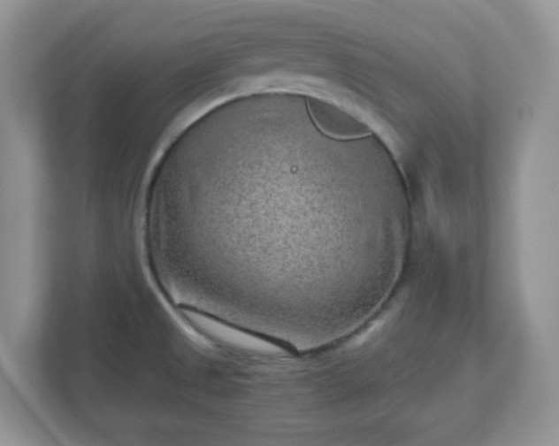 X0000110911525200906251347