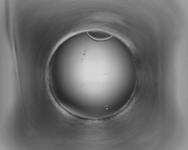 X0000110911526200906251347