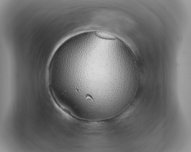 X0000110911527200906251347