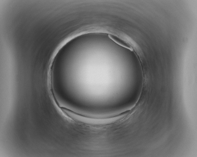 X0000110911528200906251347