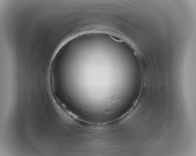 X0000110911530200906251347