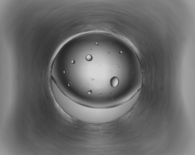 X0000110911532200906251347