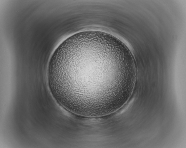 X0000110911533200906251347