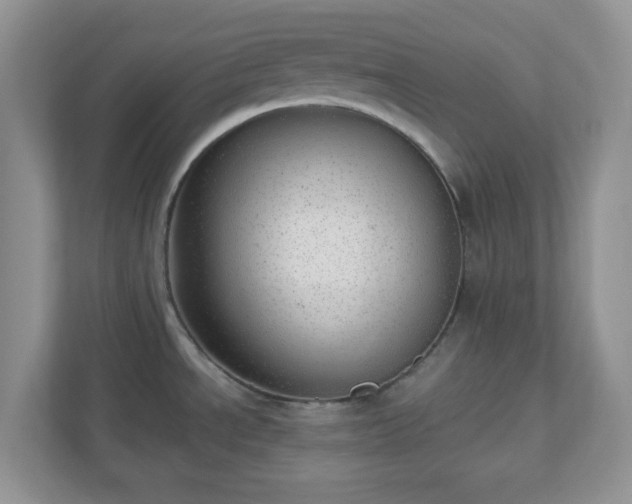 X0000110911534200906251347