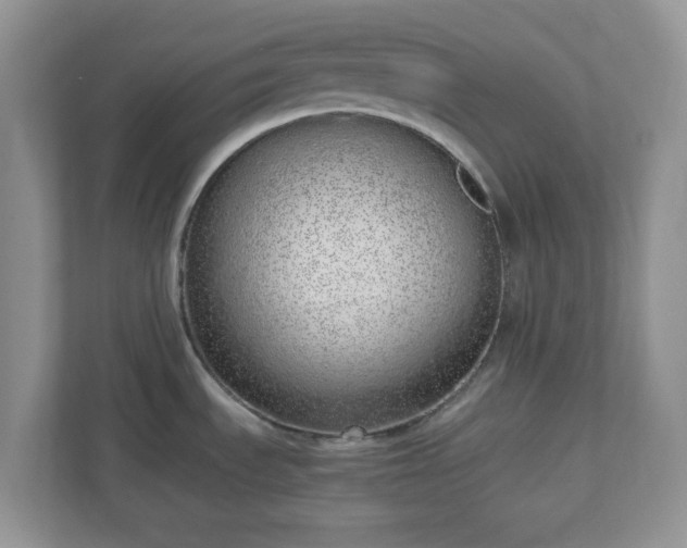 X0000110911535200906251347