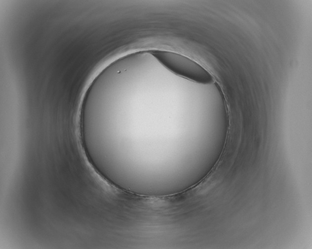 X0000110911536200906251347