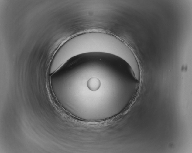 X0000110910001200907021446