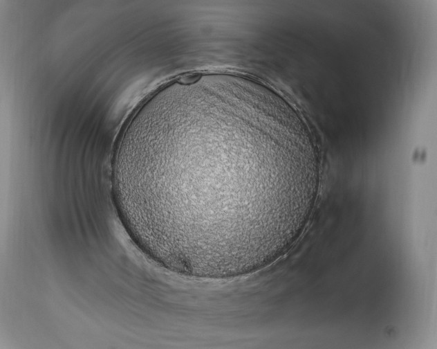 X0000110910002200907021446