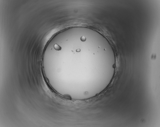 X0000110910003200907021446