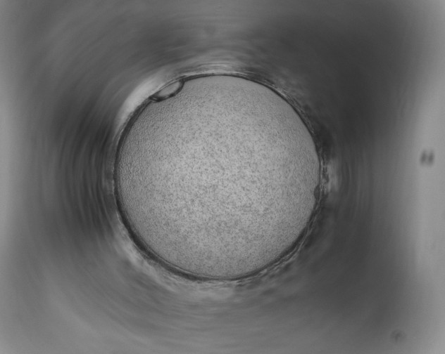 X0000110910004200907021446