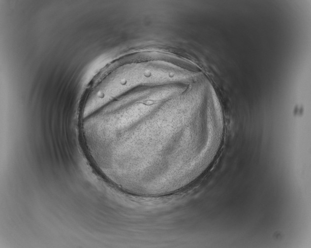 X0000110910006200907021446