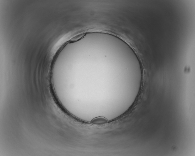 X0000110910007200907021446