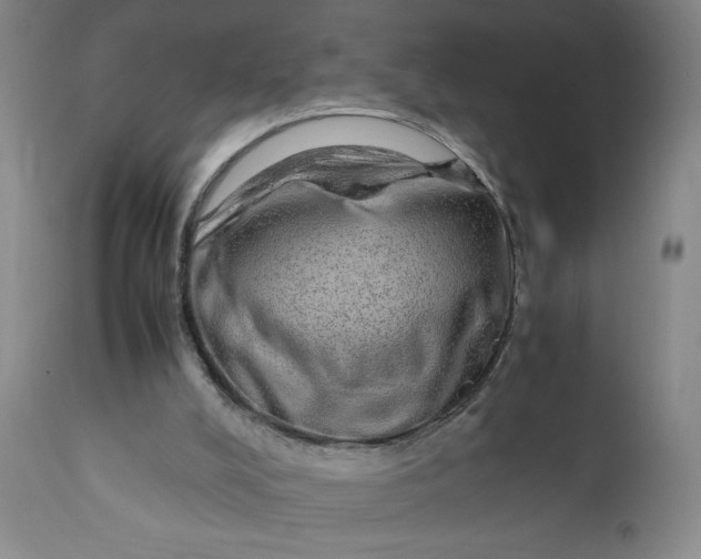 X0000110910008200907021446