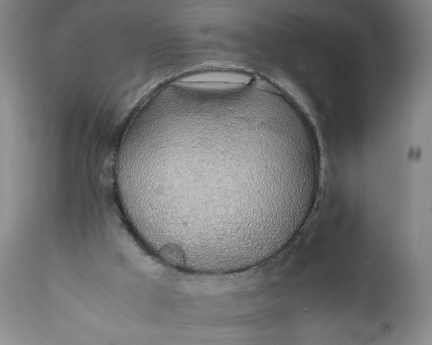 X0000110910009200907021446