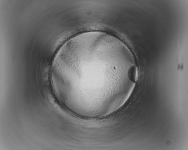 X0000110910010200907021446