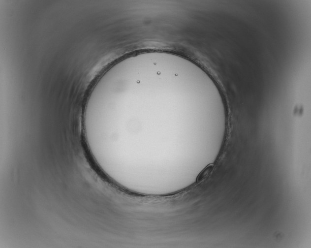 X0000110910011200907021446