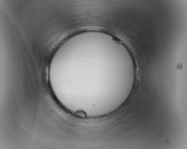 X0000110910013200907021446