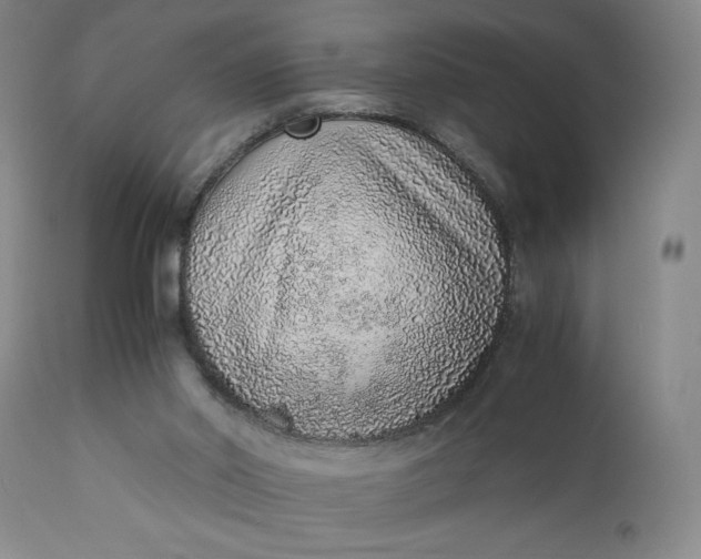 X0000110910014200907021446