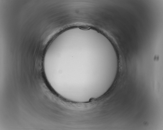 X0000110910015200907021446