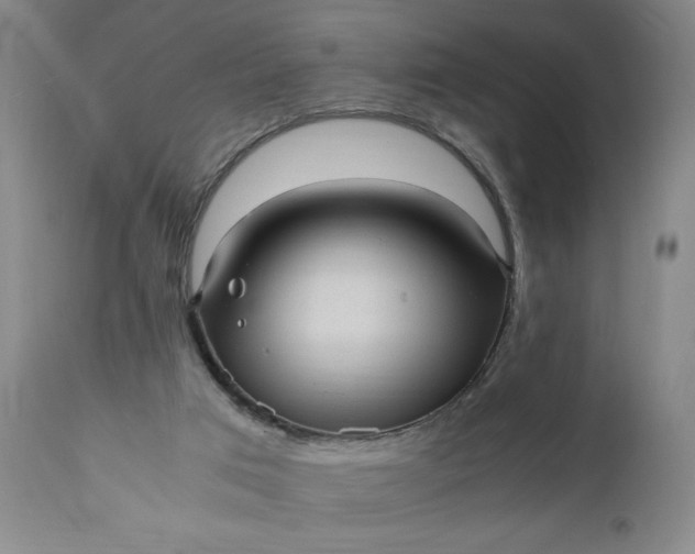 X0000110910017200907021446