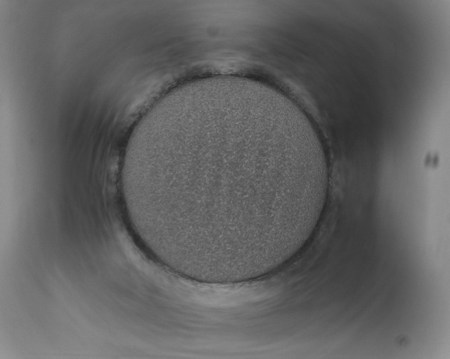 X0000110910018200907021446