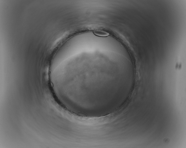 X0000110910019200907021446