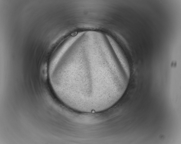 X0000110910020200907021446