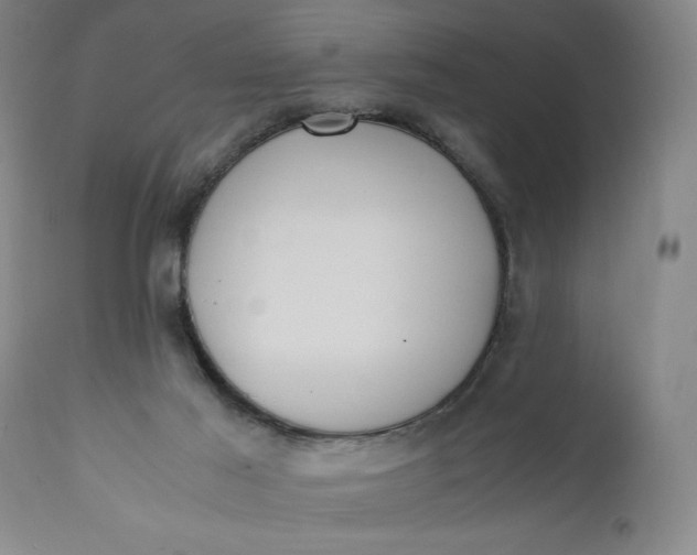 X0000110910021200907021446