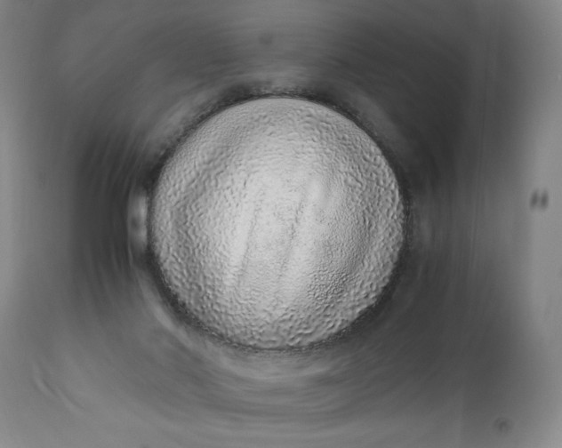 X0000110910022200907021446