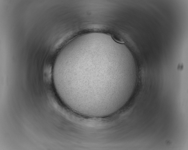 X0000110910024200907021446