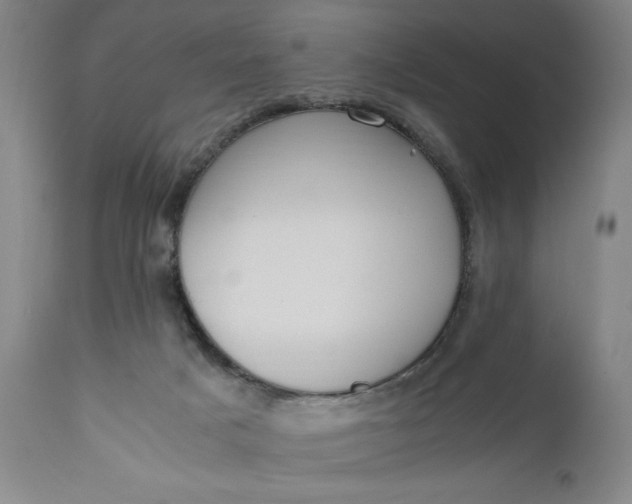 X0000110910025200907021446