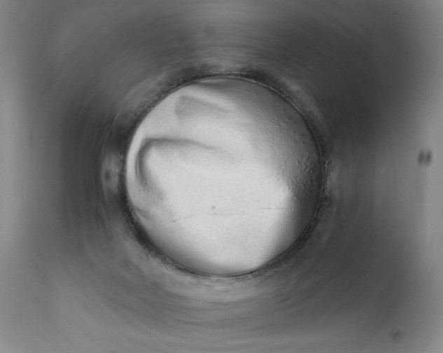 X0000110910026200907021446