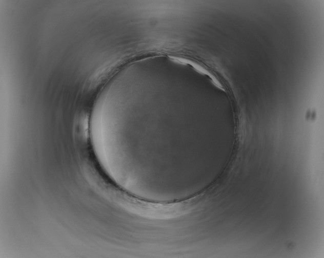 X0000110910027200907021445