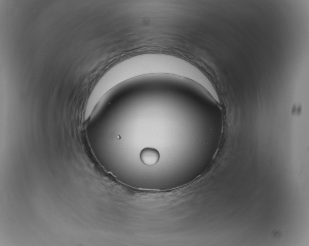 X0000110910029200907021445