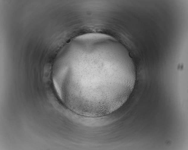 X0000110910030200907021445